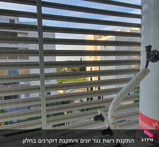 רשת מתכת על חלון עם דוקרנים למניעת יונים